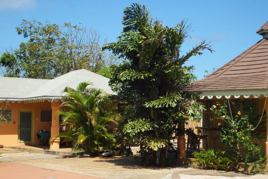 Pimento Lodge Resort Port Antonio Kültér fotó
