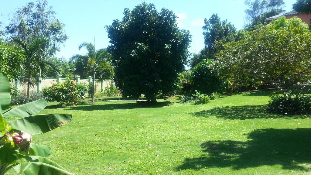 Pimento Lodge Resort Port Antonio Kültér fotó