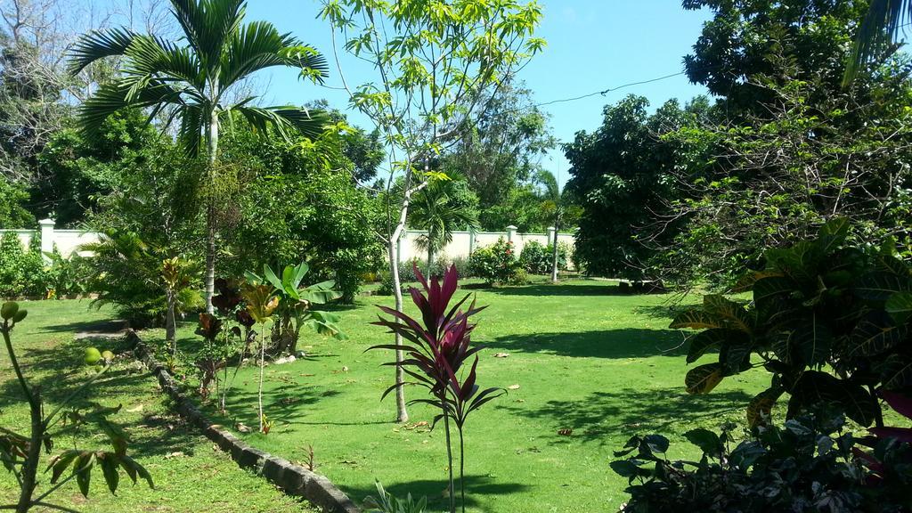 Pimento Lodge Resort Port Antonio Kültér fotó