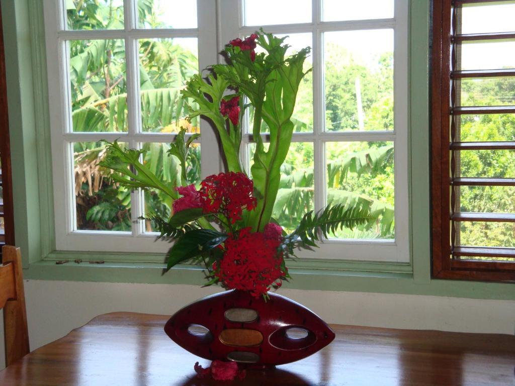 Pimento Lodge Resort Port Antonio Szoba fotó